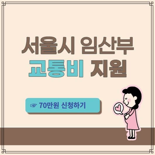 서울시-임산부-교통비지원-포스터